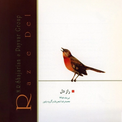 ساز و آواز (دیلمان)