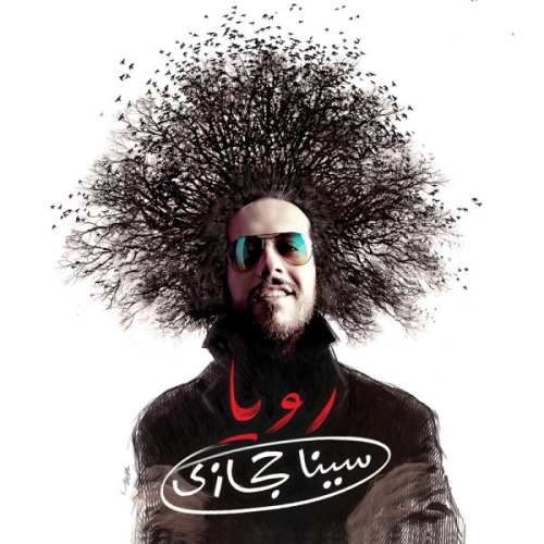 شماره ۲