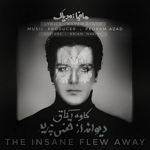 دیوانه از قفس پرید