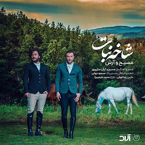 شاخه نبات