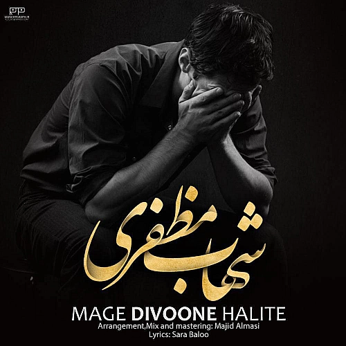 مگه دیوونه حالیت