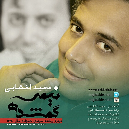 نیمه گمشده