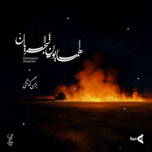 بر من گذشتی