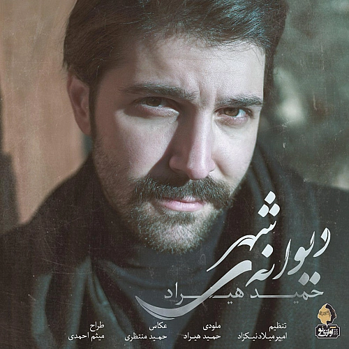 دیوانیه شهر