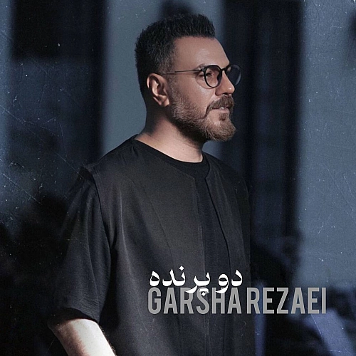 دو پرنده