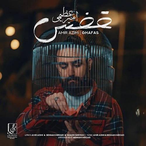 قفس