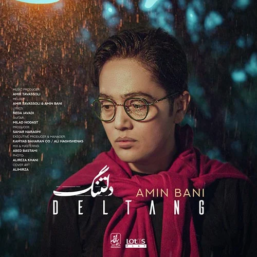 دلتنگ از امین بانی
