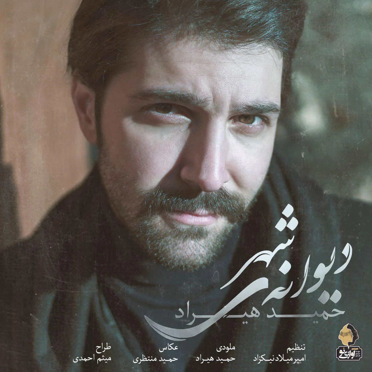 دیوانیه شهر از حمید هیراد