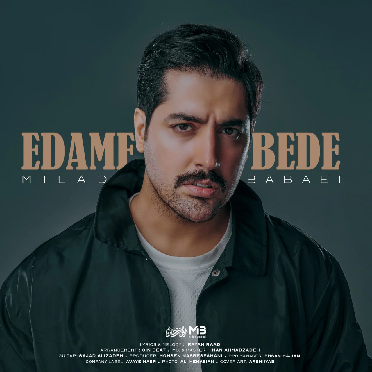 ادامه بده از میلاد بابایی