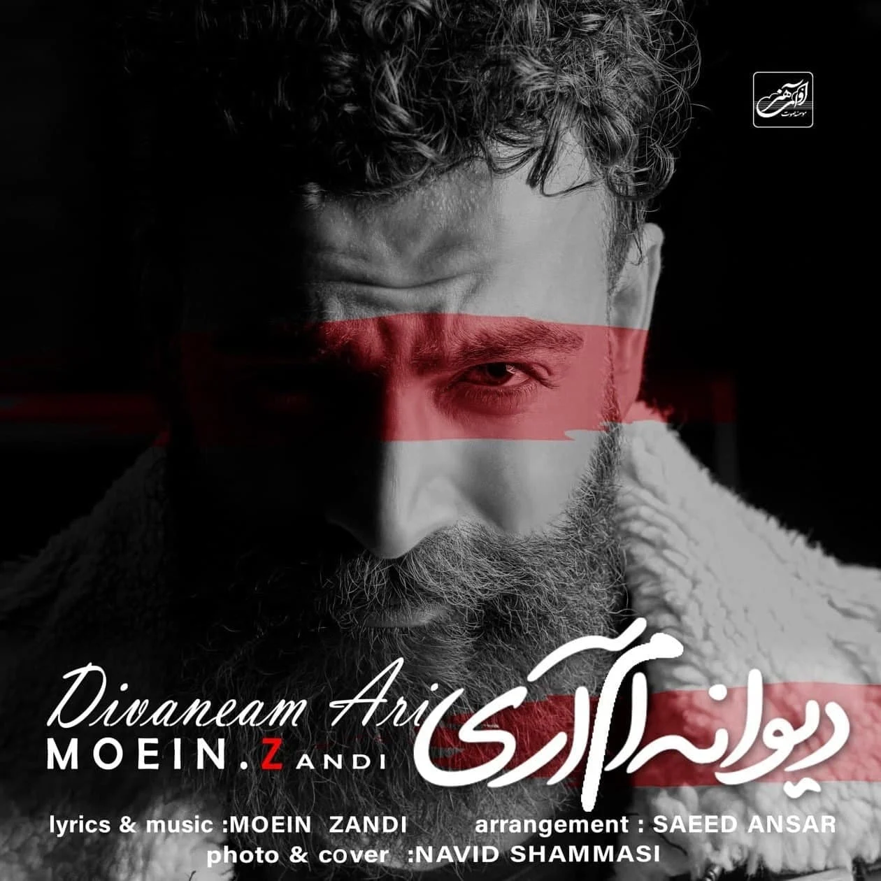 آهنگ جدید معین زد به نام دیوانه ام آری