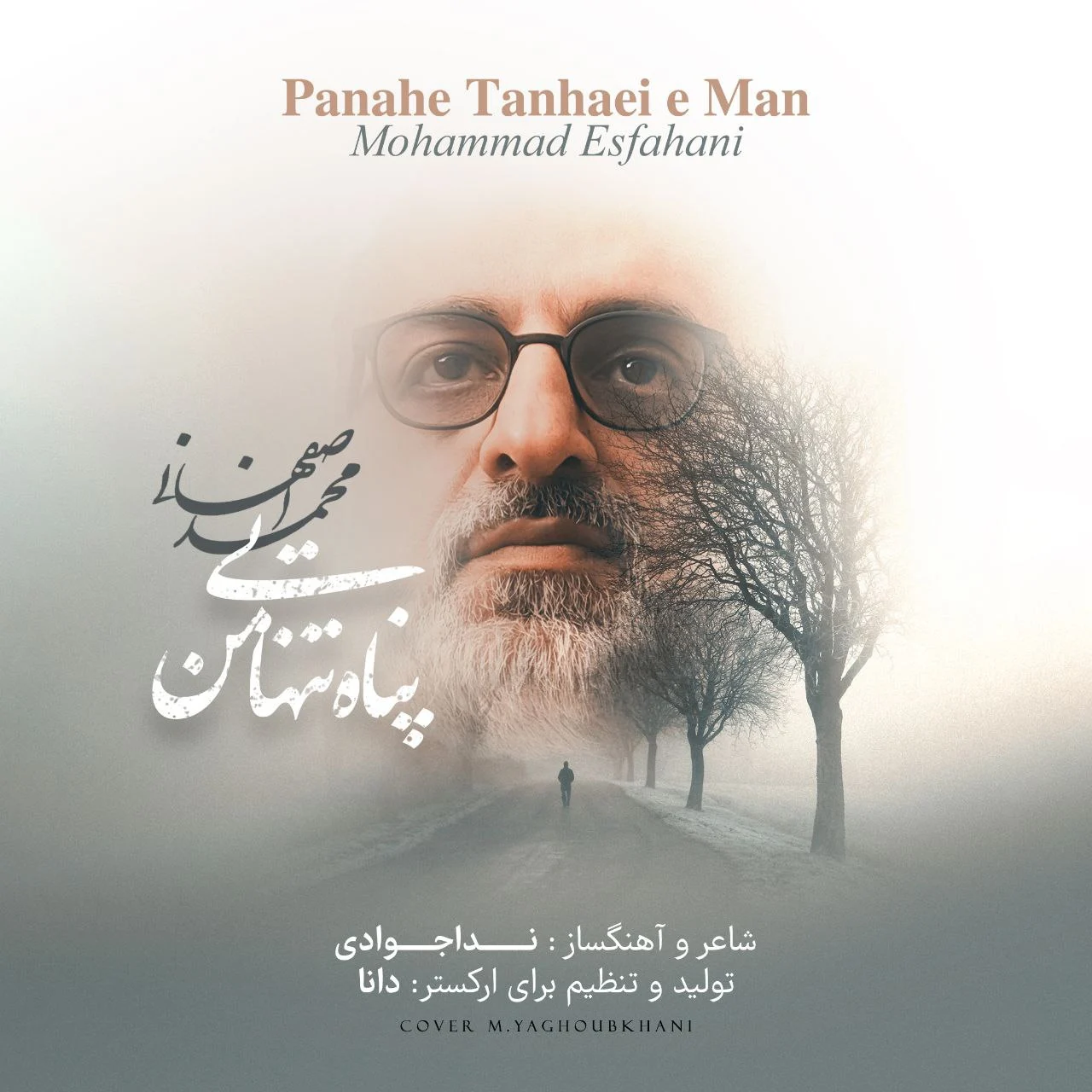 آهنگ جدید محمد اصفهانی به نام پناه تنهایی
