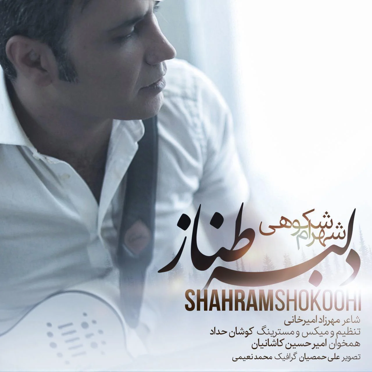آهنگ جدید شهرام شکوهی به نام دلبر طناز